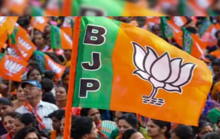 Lok Sabha Elections 2024: What if BJP fails to get the magic number of 272 seats, who could be the possible kingmakers?
