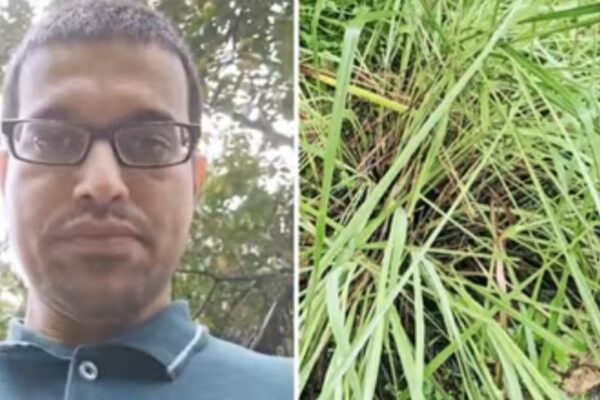 How to save 100% income tax? Karnataka man’s satirical video for salaried class is viral