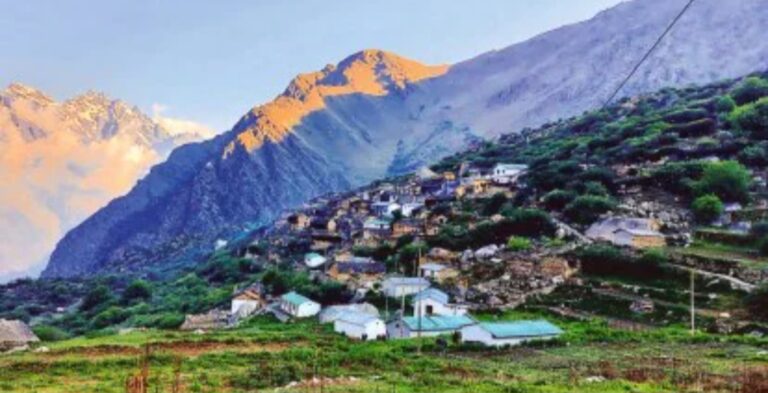 Forest official faces action after ‘eco hut’ obstructs religious procession in Uttarakhand