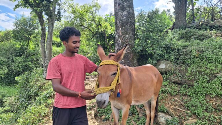 Dekho ghoda-wallah ka daur’: From mules to MSc Math; Kedarnath pony- wallah Atul Kumar rides into IIT- Madras