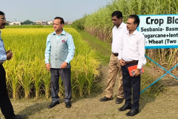 New Income Opportunities for Small Farmers through Integrated Organic Farming Model: An Initiative of Pantnagar University